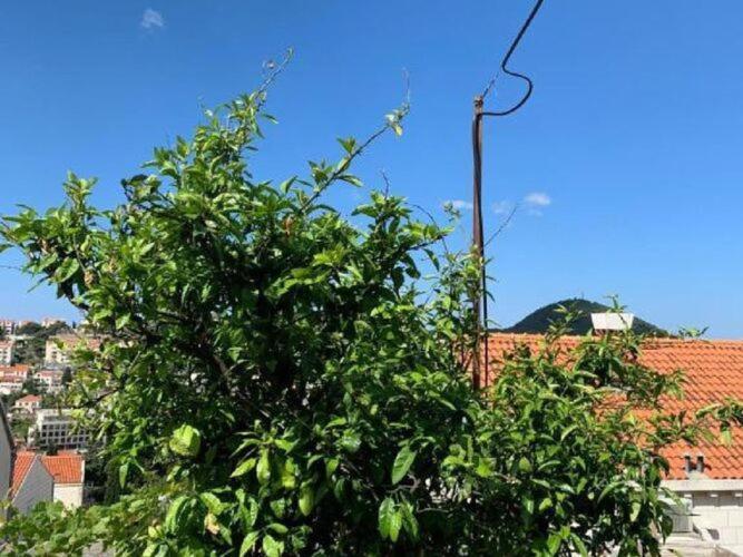 2 - Double With Shared Bathroom 1 - 3 Apartment *