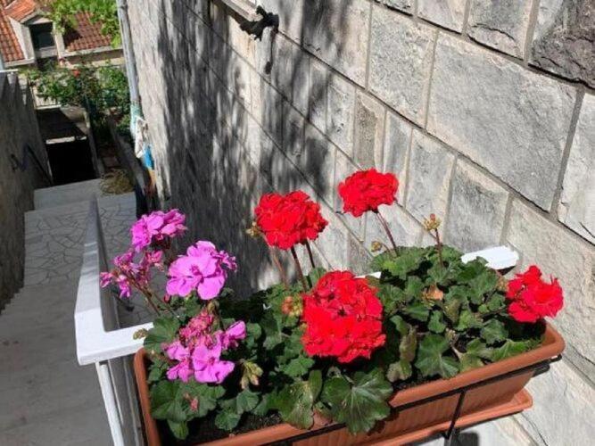 2 - Double With Shared Bathroom 1 - 3 Dubrovnik